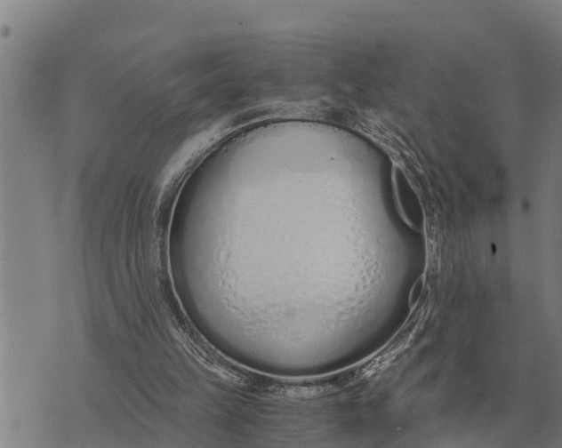 X0000073900149200609011727