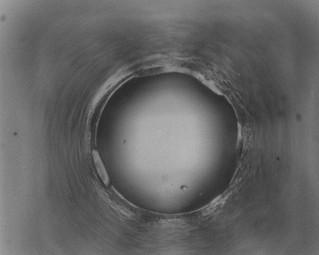 X0000073900150200609011727