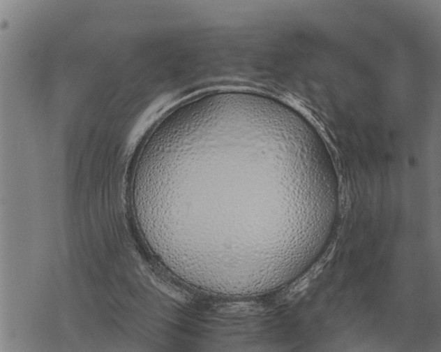 X0000073900151200609011727