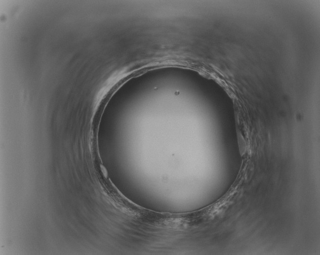 X0000073900152200609011727