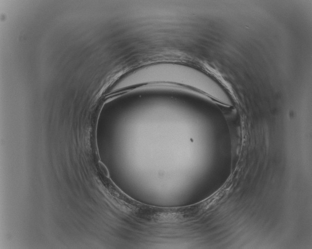 X0000073900154200609011727