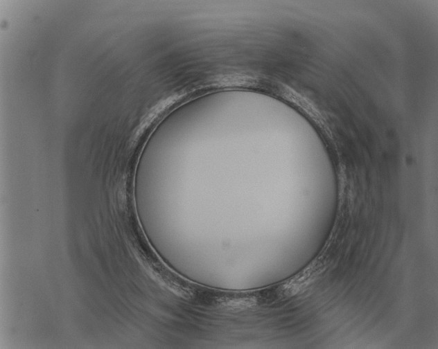 X0000073900155200609011727