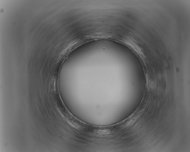 X0000073900157200609011727