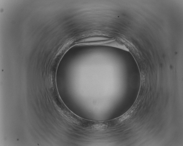 X0000073900158200609011727