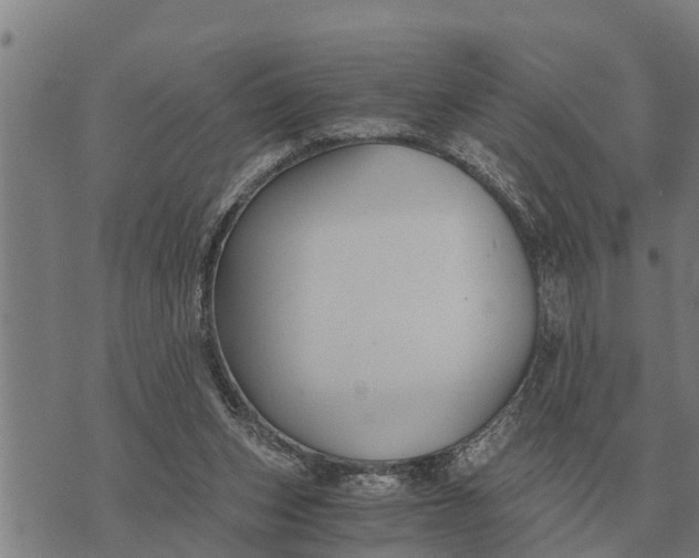 X0000073900159200609011727