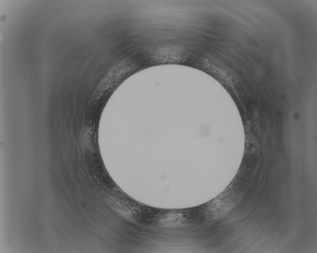 X0000073900162200609011727