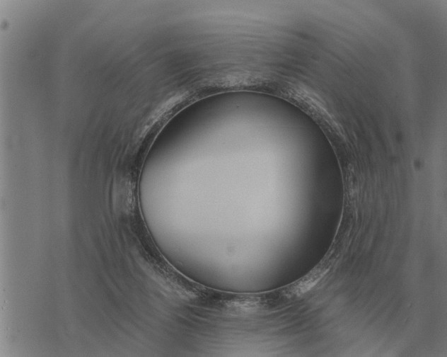 X0000073900164200609011727