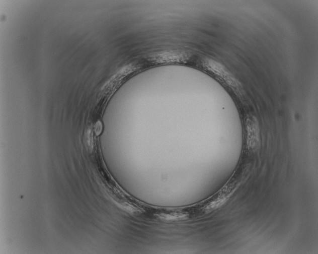 X0000073900165200609011727