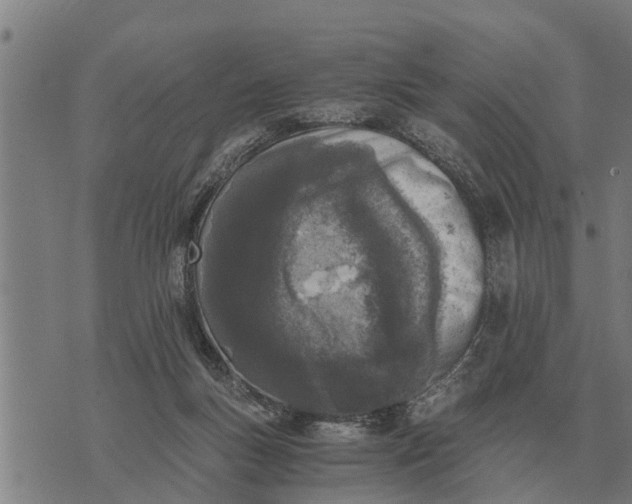 X0000073900167200609011727