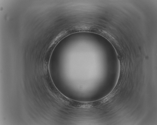 X0000073900168200609011727