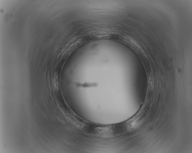 X0000073900170200609011727