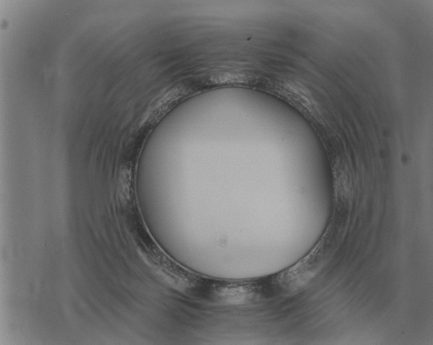 X0000073900171200609011727