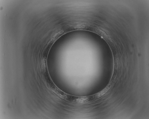 X0000073900172200609011727