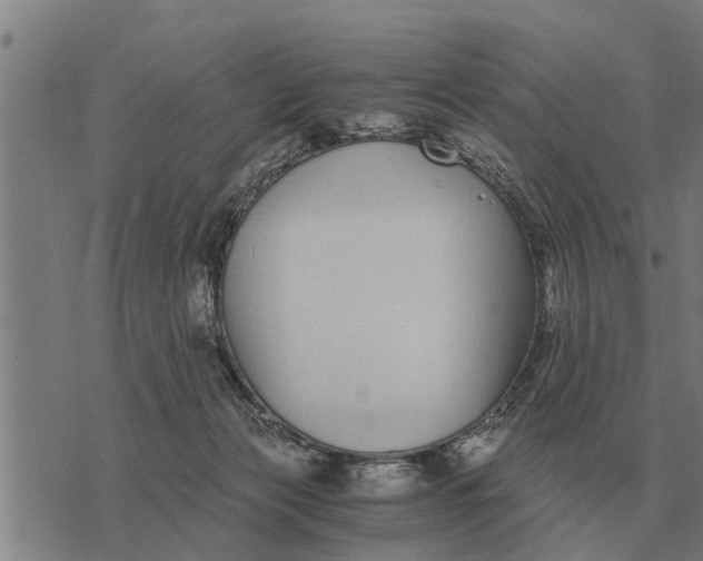 X0000073900173200609011727