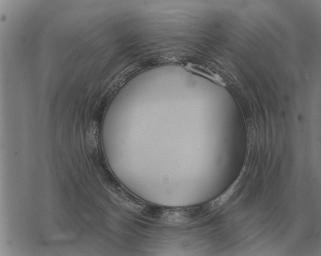 X0000073900174200609011727