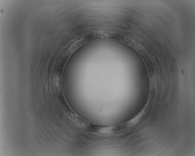 X0000073900178200609011727