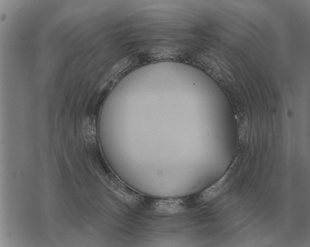 X0000073900179200609011727