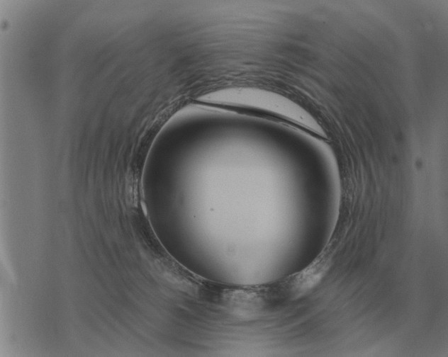 X0000073900180200609011727