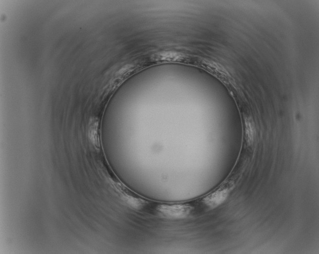 X0000073900181200609011727