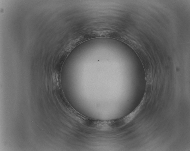 X0000073900182200609011727