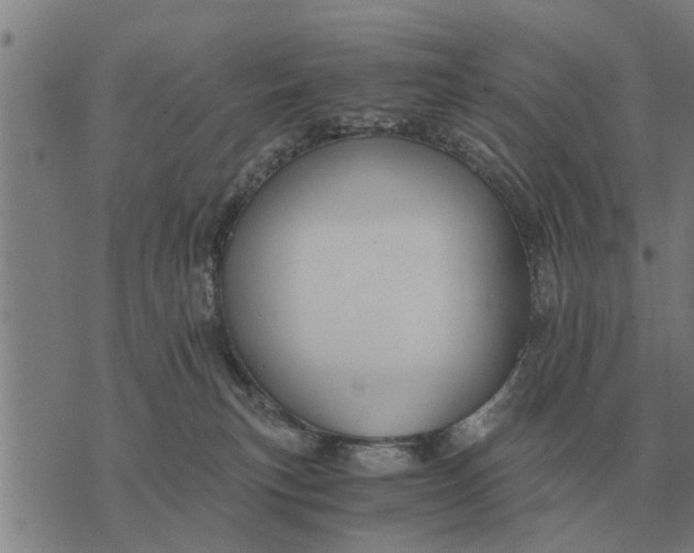 X0000073900183200609011727