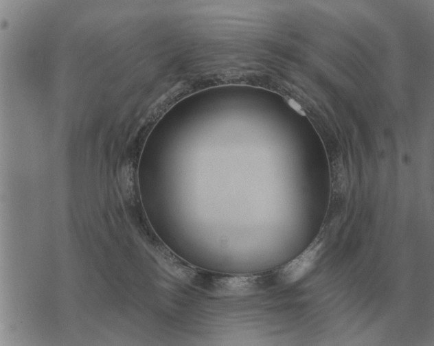 X0000073900184200609011727