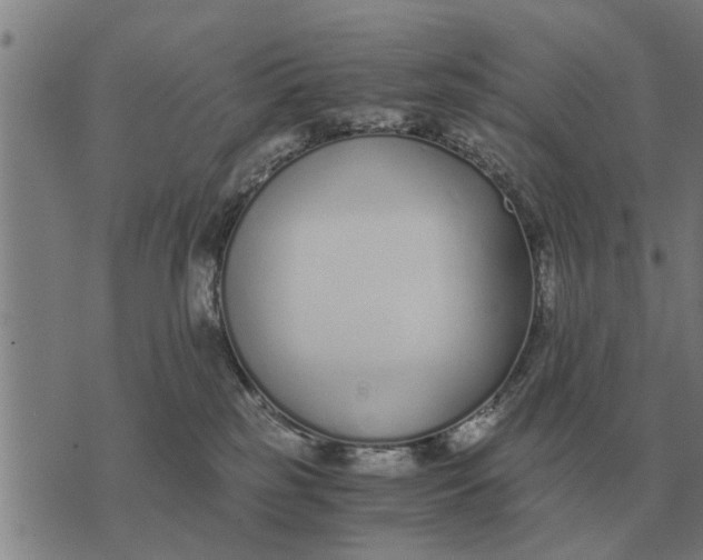 X0000073900185200609011727