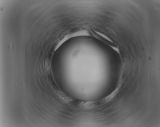 X0000073900186200609011727