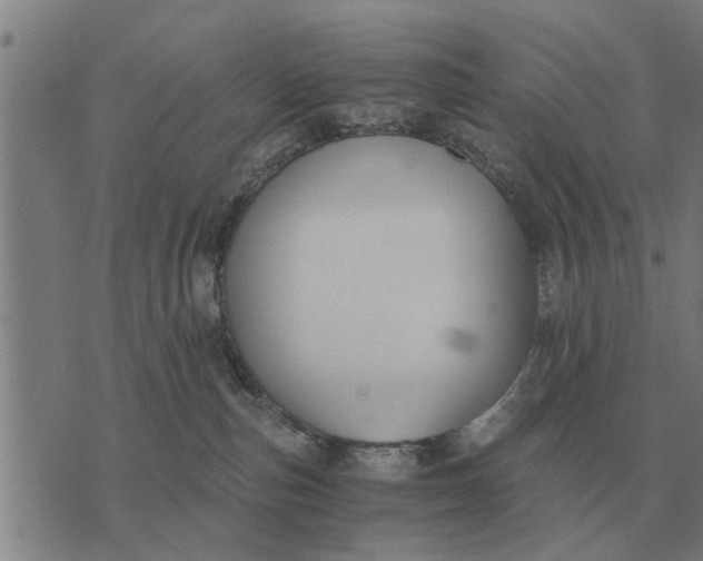 X0000073900187200609011727