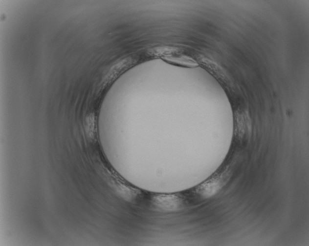 X0000073900189200609011728