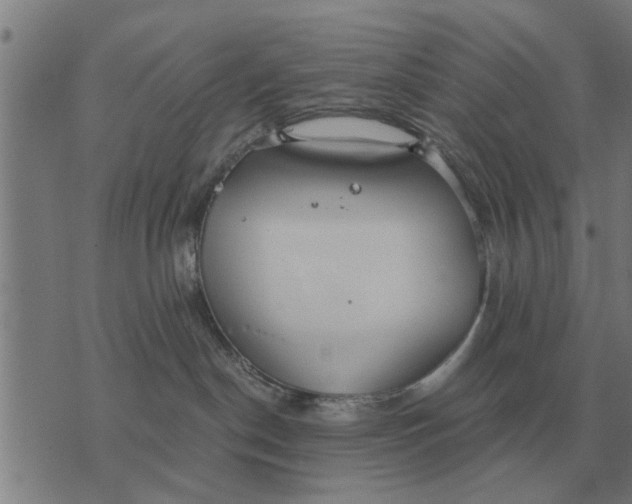 X0000073900190200609011728