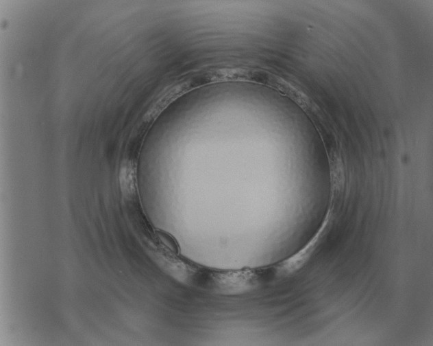 X0000073900191200609011728