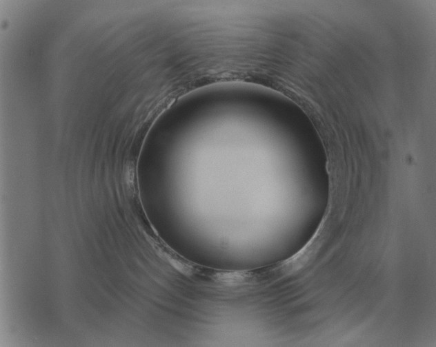 X0000073900192200609011728