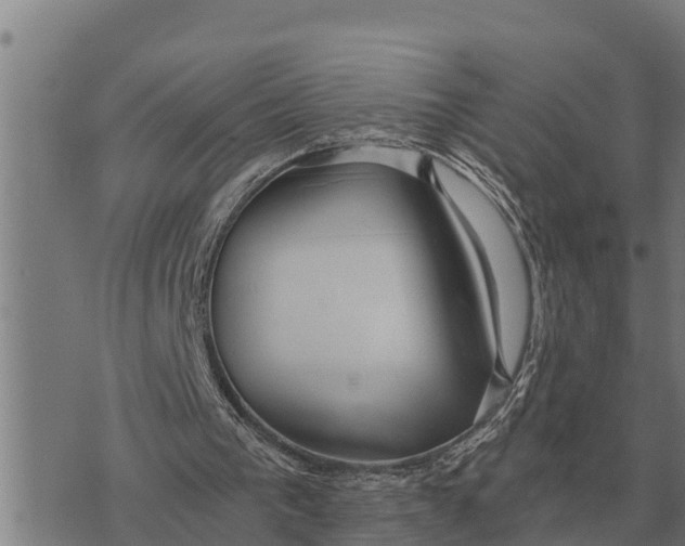 X0000073900193200609011727