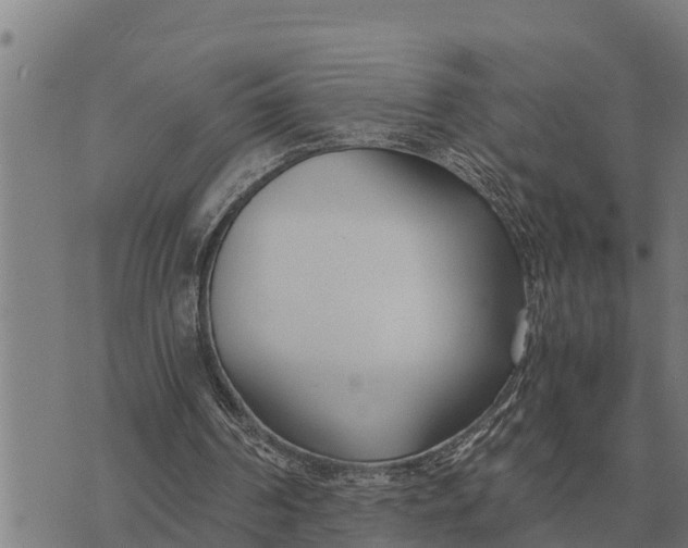 X0000073900194200609011727