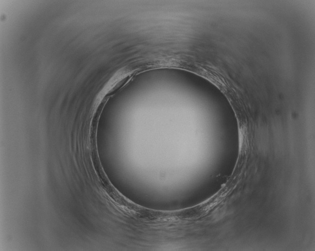 X0000073900195200609011727