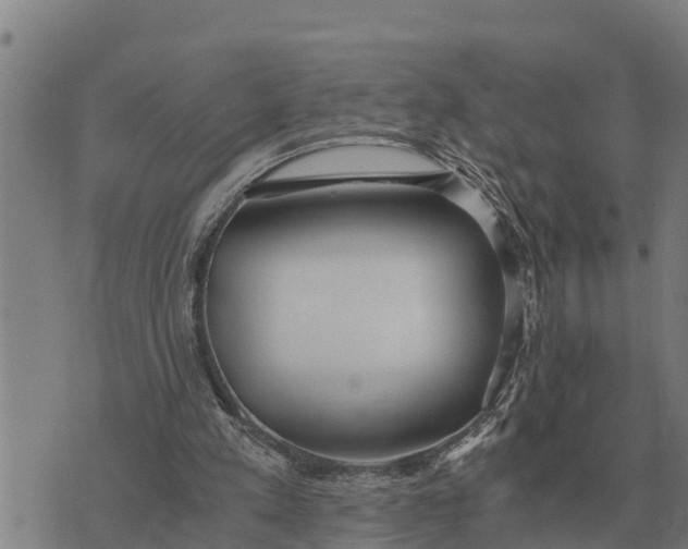 X0000073900197200609011727