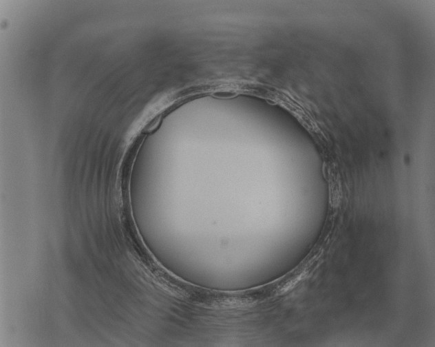 X0000073900198200609011727