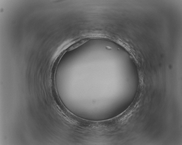 X0000073900199200609011727