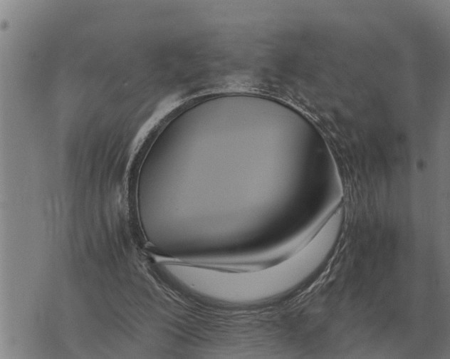 X0000073900200200609011727