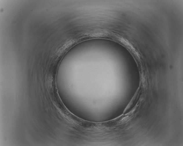 X0000073900201200609011727