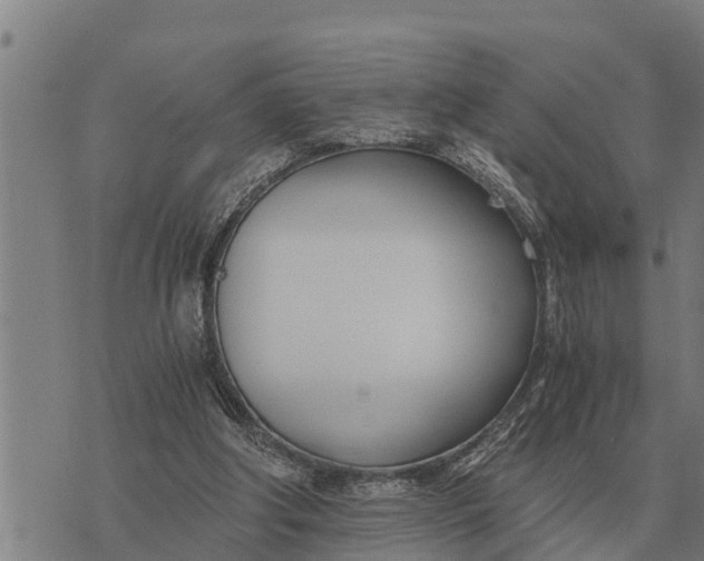 X0000073900202200609011727