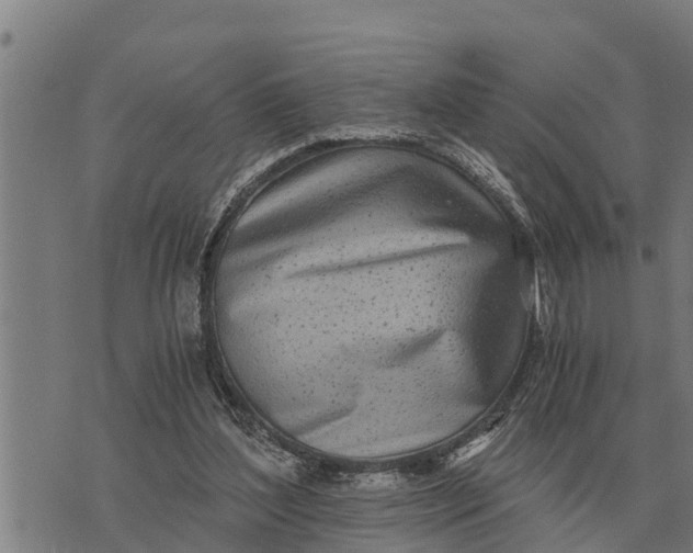 X0000073900204200609011727