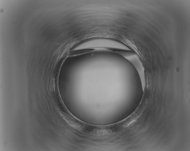 X0000073900205200609011727