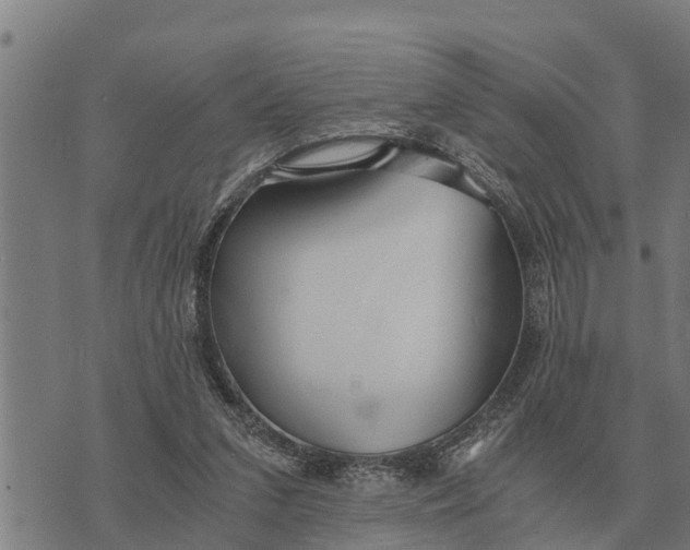 X0000073900207200609011727