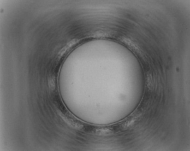 X0000073900208200609011727