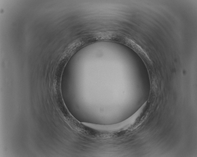 X0000073900209200609011727