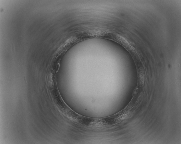 X0000073900211200609011726