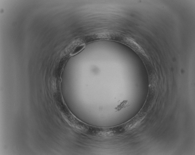 X0000073900213200609011726