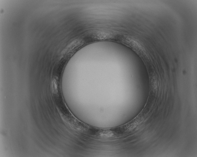 X0000073900214200609011726